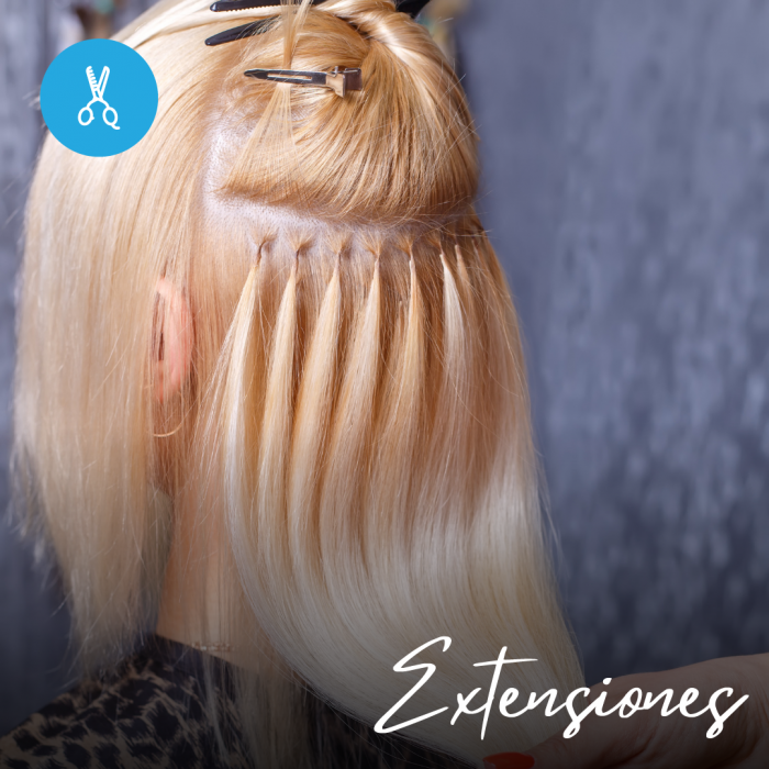 Curso de Extensiones. Alta Capacitación Profesional