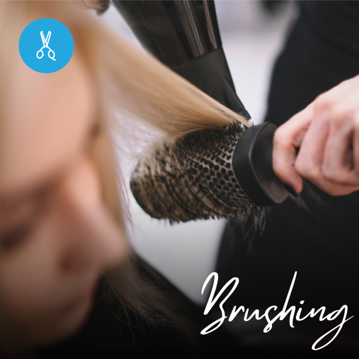 Curso de Brushing. Alta Capacitación Profesional