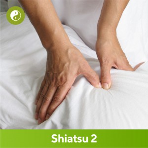 Shiatsu 2. Estudiá en Alta Capacitación Profesional